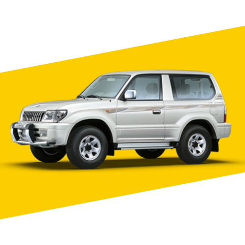 LAND CRUISER COURT 3P (1998 2003) Hayon
